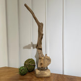 CASPIAN ART DECOR - AVRS FURNITURE